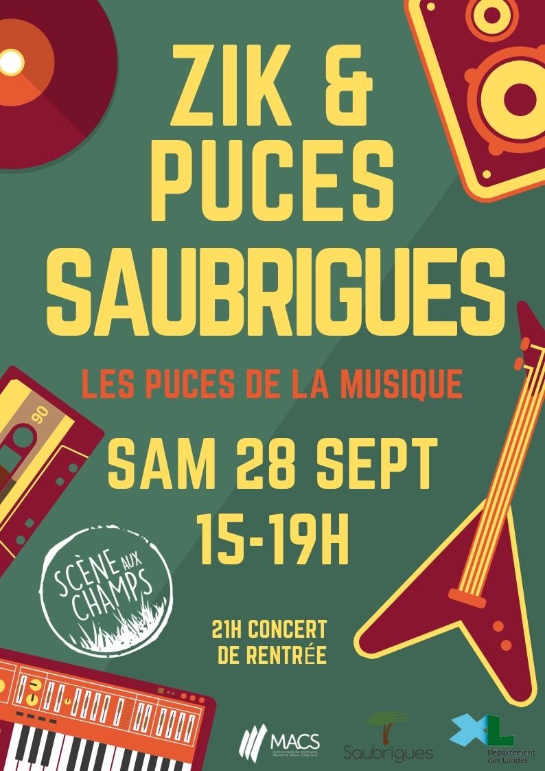 Zik & Puces - Les puces de la musique